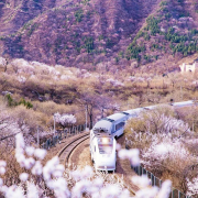 2021年春節期間全國物流時間表安排
